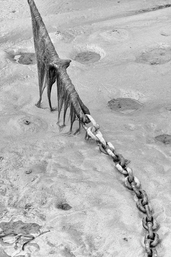 Black and white photograph of anchor chain draped with fine seaweed, trailing across sand.