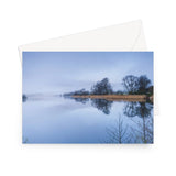 'Golden Reeds'  -   Greeting Card