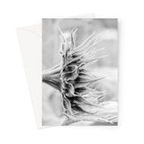 'Waiting for the Sun' -  Greeting Card