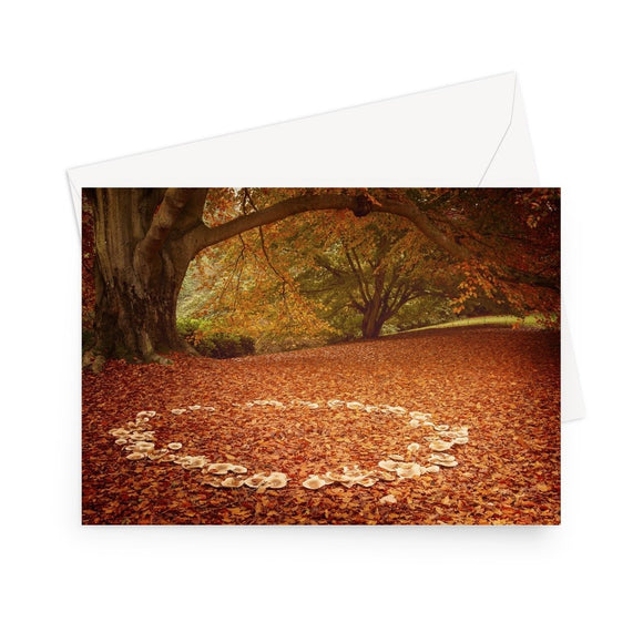 'Fairy Playground' - High quality greeting card featuring my photograph of a 'fairy ring' of fungi amongst fallen leaves. Printed on high-quality 330gsm Fedrigoni card. Envelope supplied.