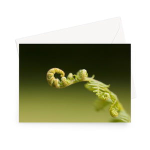 'Best Fronds Forever' - High quality greeting card featuring my photograph of unfurling bracken, reaching out invitingly. Printed on high-quality 330gsm Fedrigoni card. Envelope supplied.