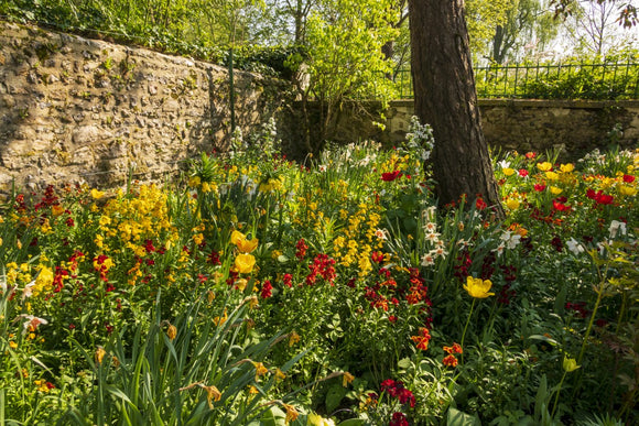 'Walled Garden at Giverny' -