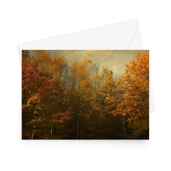 'Autumn Dream' - High quality greeting card featuring my photograph of a Kent woodland in the prime of its breathtaking autumn colour. Printed on high-quality 330gsm Fedrigoni card. Envelope supplied.