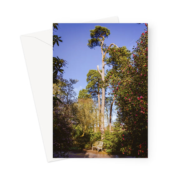 'A Place in the Sun' -  Greeting Card