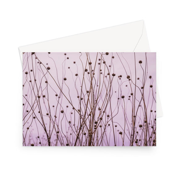 'Seeds of Change' - High quality greeting card featuring my photograph of dormant Verbena (Verbena Bonariensis) in the Glasshouse Landscape at RHS Wisley. Printed on high-quality 330gsm Fedrigoni card. Envelope supplied.