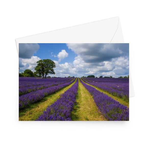 'Lavender and Big English Sky' - High quality greeting card featuring my close up photograph of a lavender crop under a sky of blue with huge, billowing clouds. Printed on high-quality 330gsm Fedrigoni card. Envelope supplied.