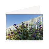 'Princess Flower and Glass Palace' - High quality greeting card featuring my photograph of the spectacular 'Princess Flower' (Tibouchina Urvilleana) plant outside the magnificent Glasshouse at RHS Wisley. Printed on high-quality 330gsm Fedrigoni card. Envelope supplied.