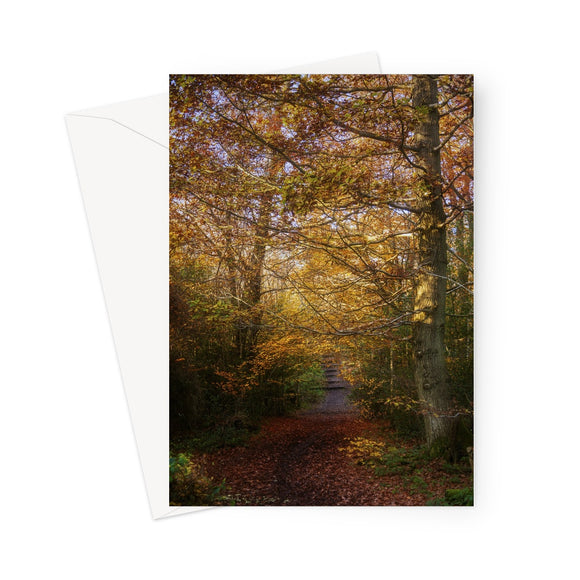 'Let's Go Exploring!' -  Greeting Card