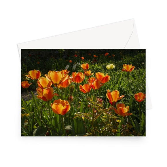 'Orange Tulips at Giverny' - High quality greeting card featuring my photograph of a host of vivid orange tulips in Monet's famous garden at Giverny. Printed on high-quality 330gsm Fedrigoni card. Envelope supplied.