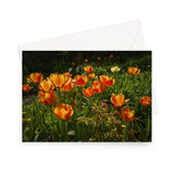 'Orange Tulips at Giverny' - High quality greeting card featuring my photograph of a host of vivid orange tulips in Monet's famous garden at Giverny. Printed on high-quality 330gsm Fedrigoni card. Envelope supplied.