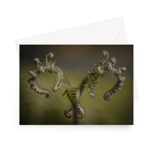 'Mothership' - High quality greeting card featuring my photograph of a twin bracken fronds unfurling. Printed on high-quality 330gsm Fedrigoni card. Envelope supplied.