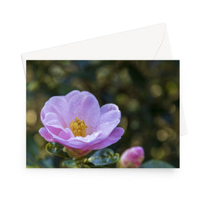 'Camellia with Raindrops' - High quality greeting card featuring my close up photograph of a camellia flower after a morning shower. Printed on high-quality 330gsm Fedrigoni card. Envelope supplied.