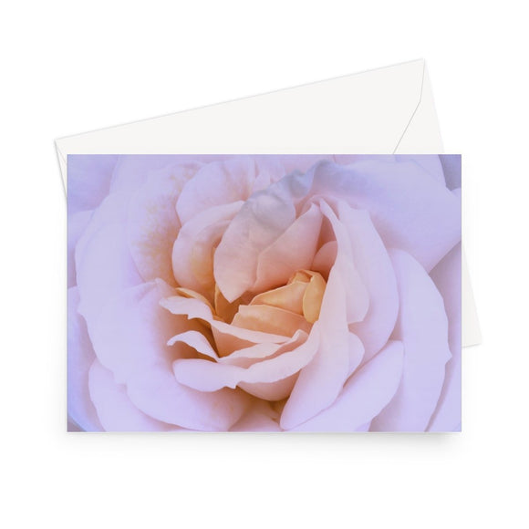 'Pink and Buttermilk Rose' - High quality greeting card featuring my close-up photograph of a beautiful, duo-toned rose bloom. Printed on high-quality 330gsm Fedrigoni card. Envelope supplied.