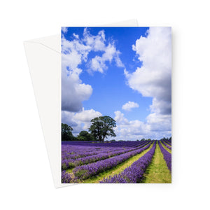 English Lavender and Summer Sky Greeting Card