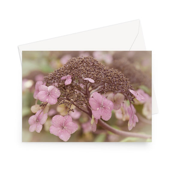 'Lacecap Hydrangea' - High quality greeting card featuring my close-up photograph of dusty pink, lacecap hydrangea. Printed on heavy duty 330gsm Fedrigoni card. Supplied with envelope.