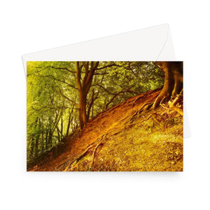 'Breathing Redhill' - High quality greeting card featuring my photograph of a steep, autumn russet hillside with exposed tree roots and a vivid green canopy above. Printed on high-quality 330gsm Fedrigoni card. Envelope supplied.