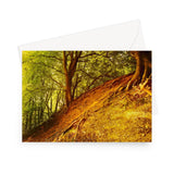 'Breathing Redhill' - High quality greeting card featuring my photograph of a steep, autumn russet hillside with exposed tree roots and a vivid green canopy above. Printed on high-quality 330gsm Fedrigoni card. Envelope supplied.