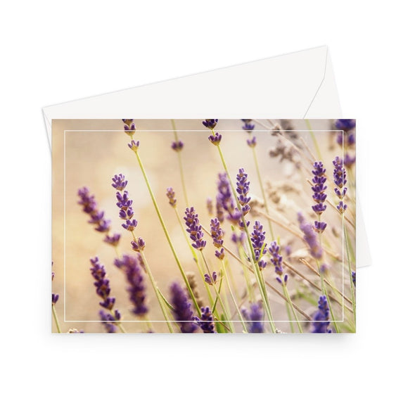 'Lavender Sunset' - High quality greeting card featuring my close up photograph of lavender sprigs, backlit by the setting sun. Printed on high-quality 330gsm Fedrigoni card. Envelope supplied.