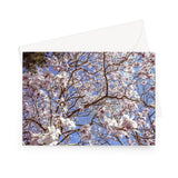 'Magnolia Grandiflora' - High quality greeting card featuring my  photograph of a breathtaking magnolia tree that has blooms the size of dinner plates that flutter in the breeze like the most graceful ballet dancers. Printed on high-quality 330gsm Fedrigoni card. Envelope supplied.
