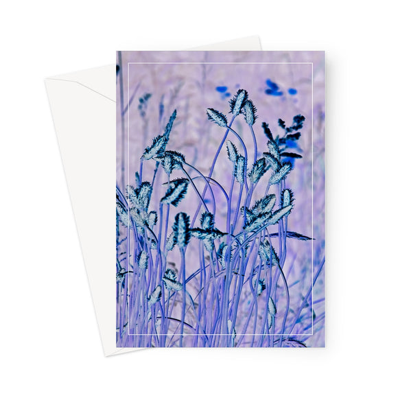 'Blue Grass' -  Greeting Card