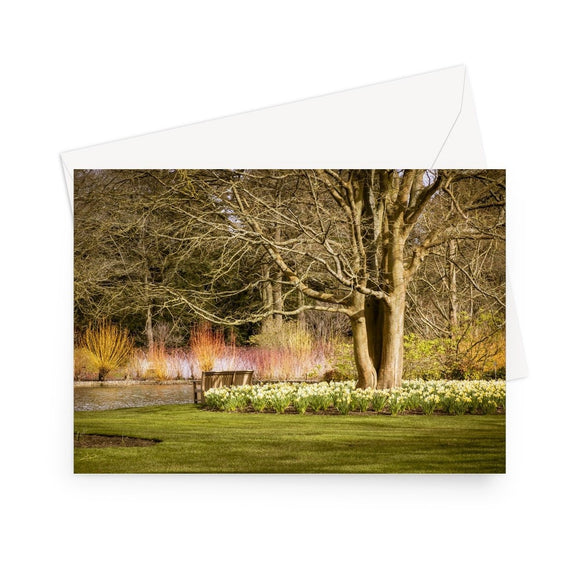 'Winter Walk' - High quality greeting card featuring my photograph of the wonderful Winter Walk at RHS Wisley. Printed on high-quality 330gsm Fedrigoni card. Envelope supplied.