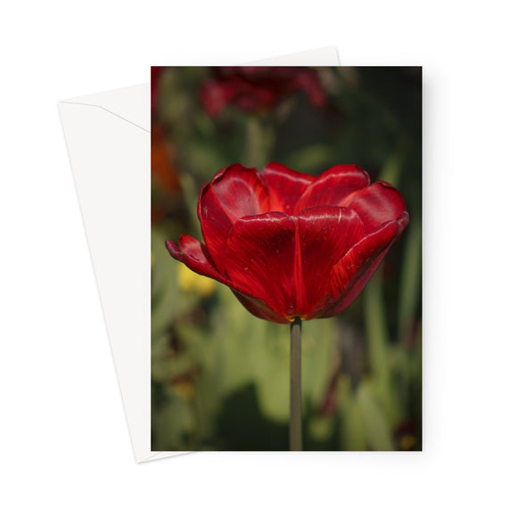 'Red Hot' -  Greeting Card