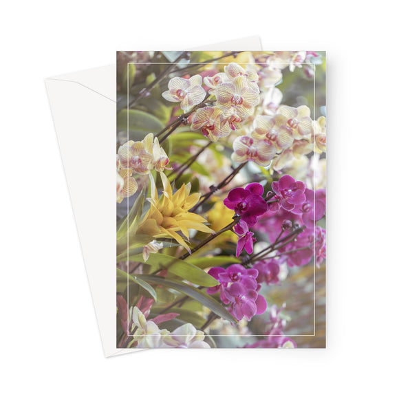 'Orchid Extravaganza' -  Greeting Card