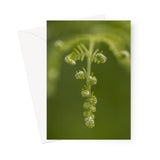 'Let's be Fronds' -  Greeting Card