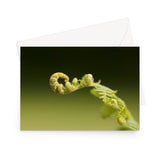 'Best Fronds Forever' - High quality greeting card featuring my photograph of unfurling bracken, reaching out invitingly. Printed on high-quality 330gsm Fedrigoni card. Envelope supplied.